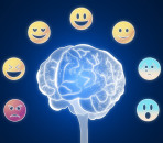 Guide to the Mayer Salovey Caruso Emotional Intelligence Test